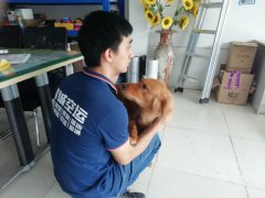 寵物空運(yùn)如果辦理